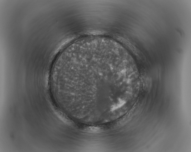 X0000113080159200909250956