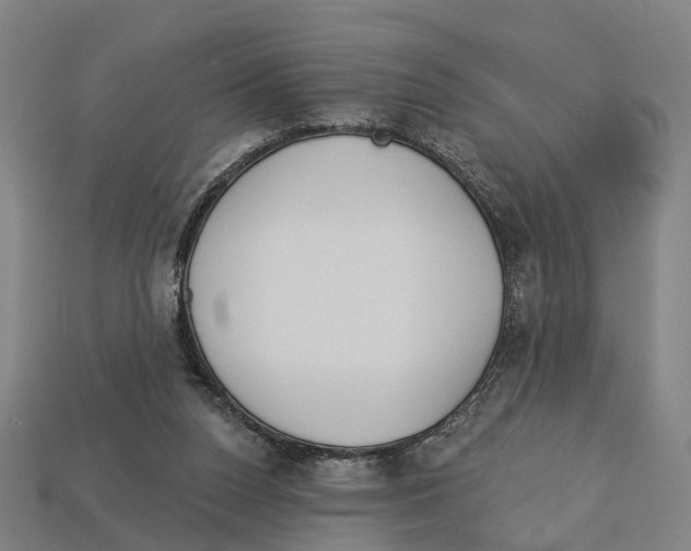 X0000113080160200909250956