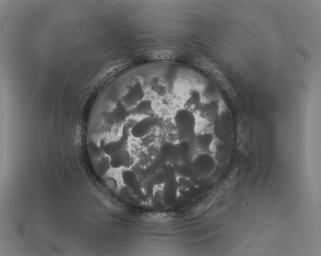 X0000113080161200909250956