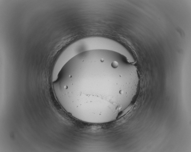 X0000113080162200909250956
