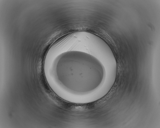 X0000113080163200909250956