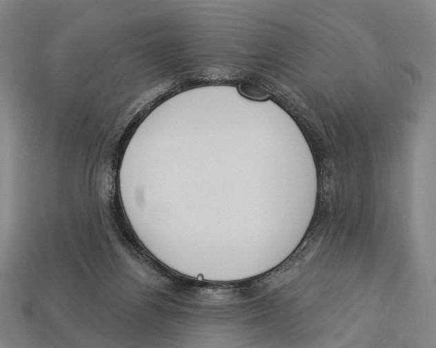 X0000113080164200909250956