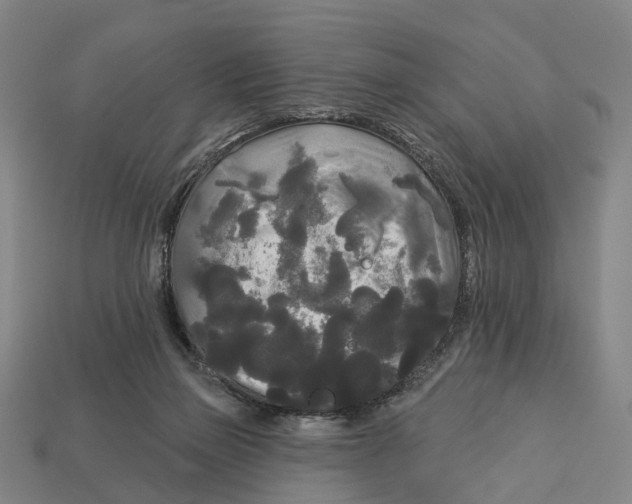 X0000113080165200909250956