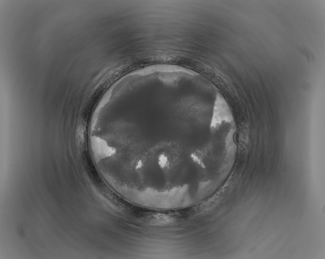 X0000113080166200909250956