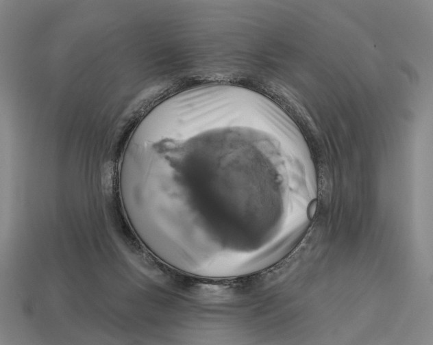 X0000113080167200909250956