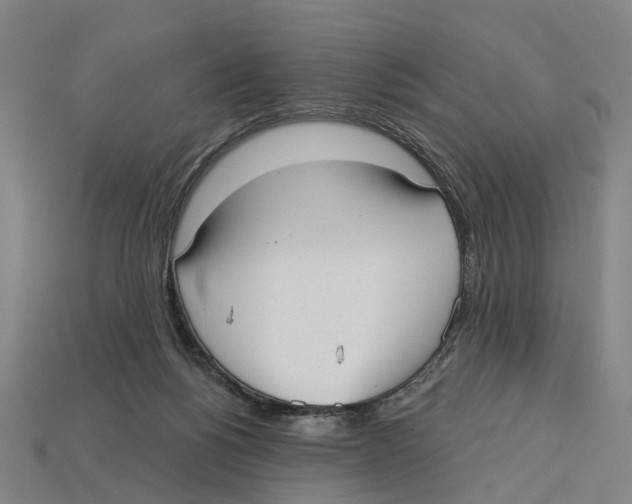 X0000113080168200909250956