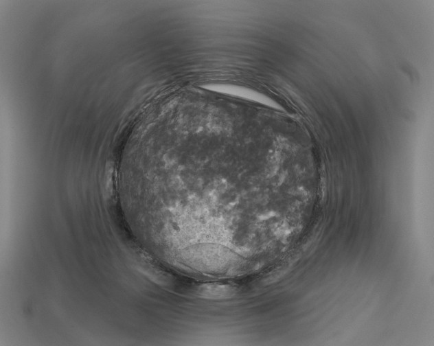 X0000113080169200909250956