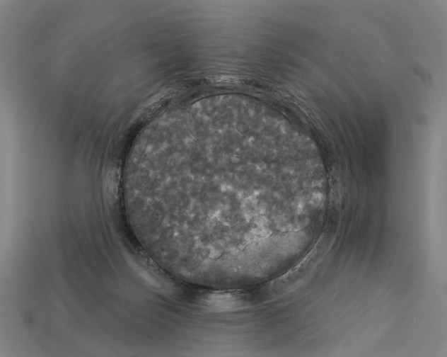 X0000113080171200909250957