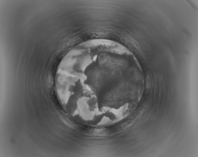 X0000113080173200909250957