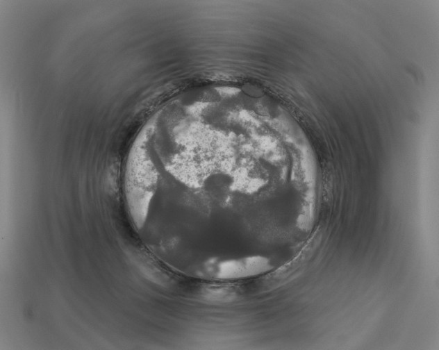 X0000113080175200909250957