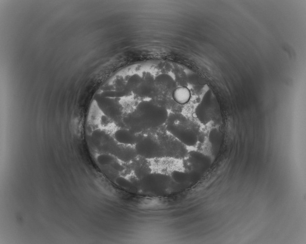 X0000113080177200909250957