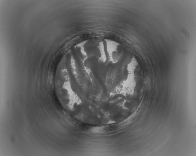 X0000113080178200909250957
