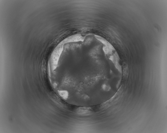 X0000113080179200909250957