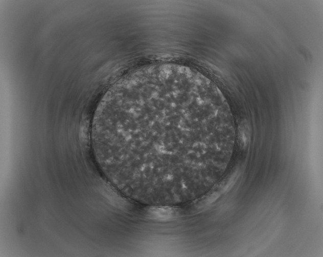 X0000113080181200909250957