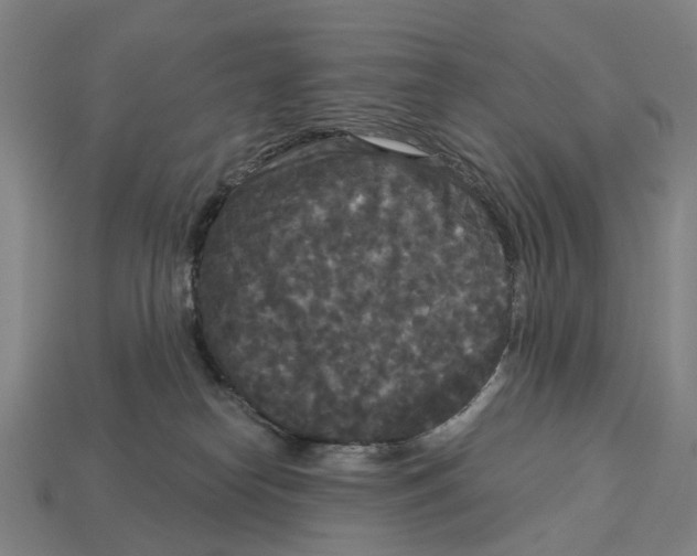 X0000113080182200909250957