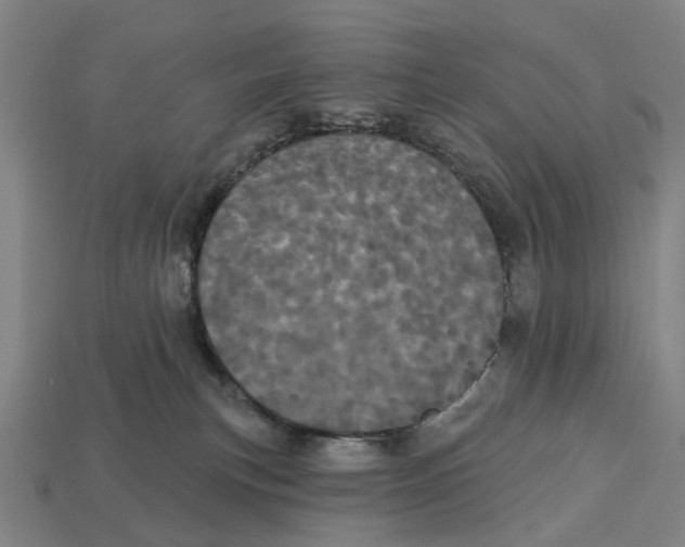 X0000113080183200909250957