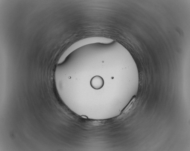 X0000113080184200909250957