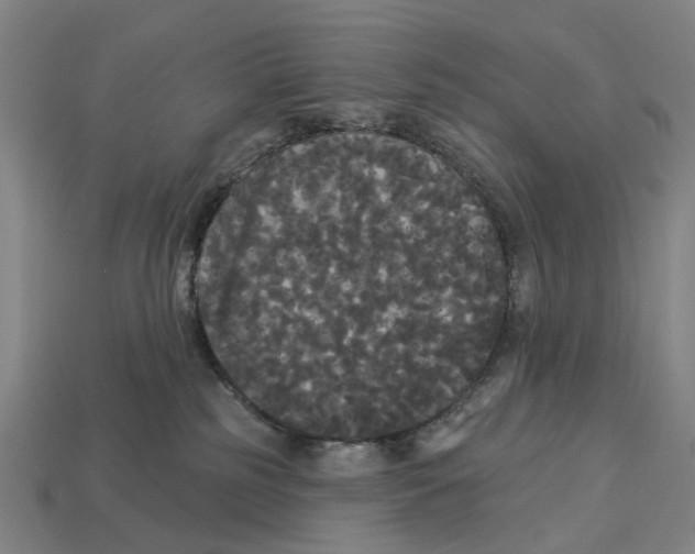 X0000113080185200909250957