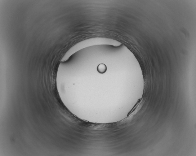 X0000113080186200909250957