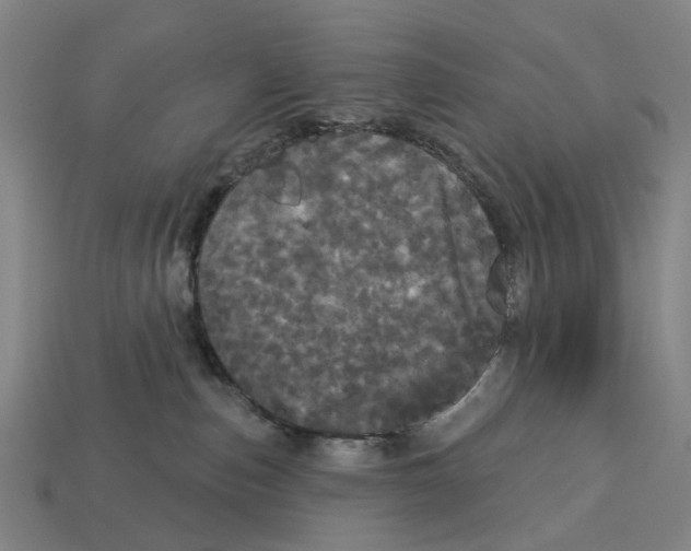 X0000113080187200909250957