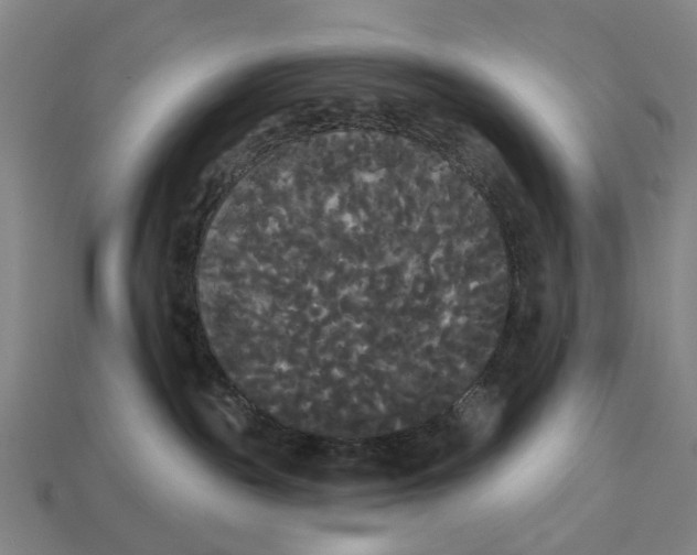 X0000113080189200909250957