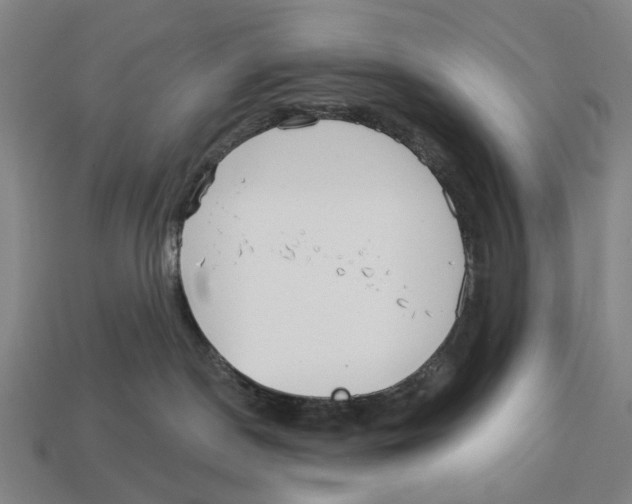 X0000113080190200909250957
