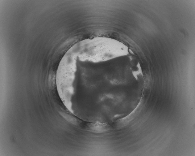 X0000113080191200909250957