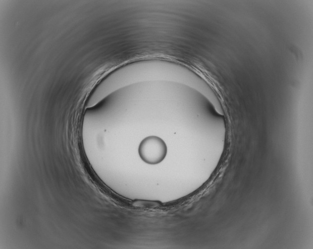 X0000113080193200909250956