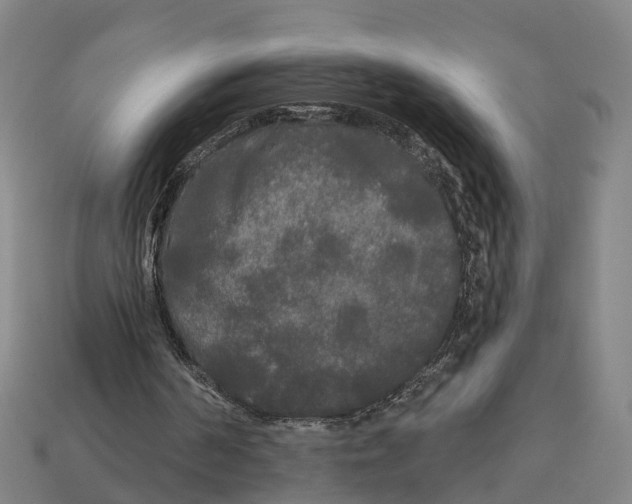 X0000113080194200909250956