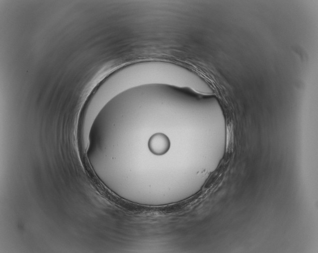 X0000113080195200909250956