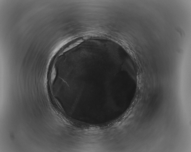 X0000113080196200909250956