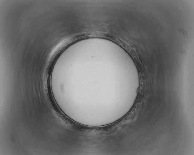 X0000113080197200909250956