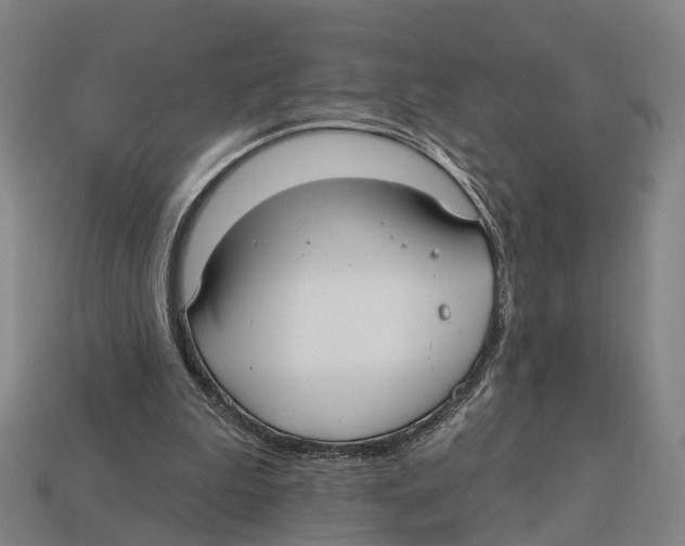 X0000113080199200909250956