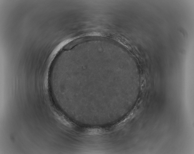 X0000113080200200909250956