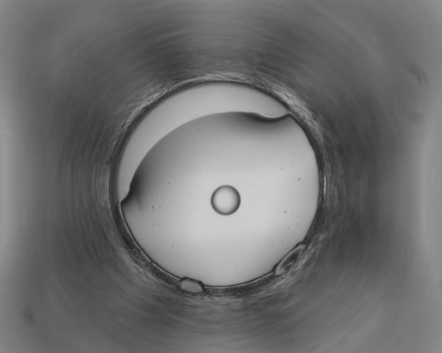 X0000113080201200909250956