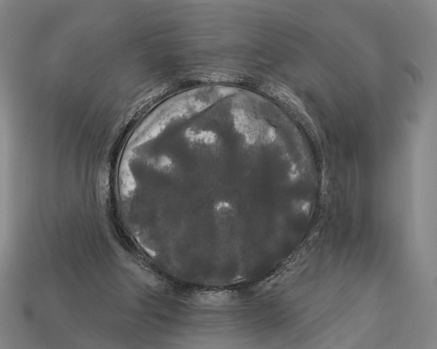 X0000113080202200909250956