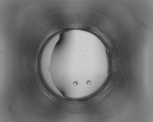 X0000113080203200909250956