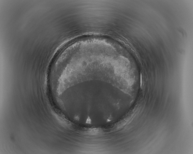 X0000113080204200909250956