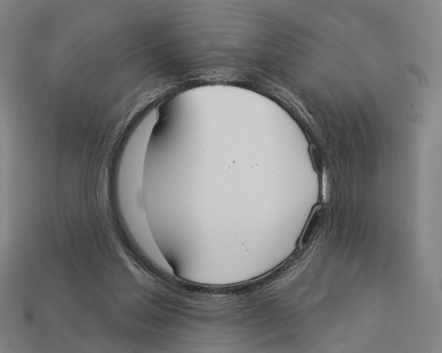 X0000113080205200909250956