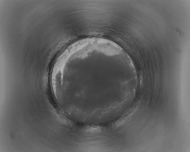X0000113080206200909250956