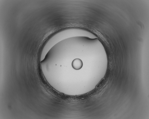 X0000113080207200909250956