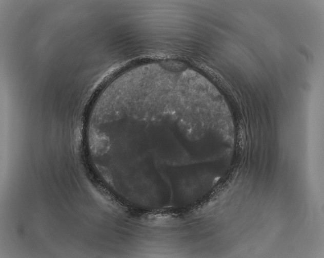 X0000113080208200909250956
