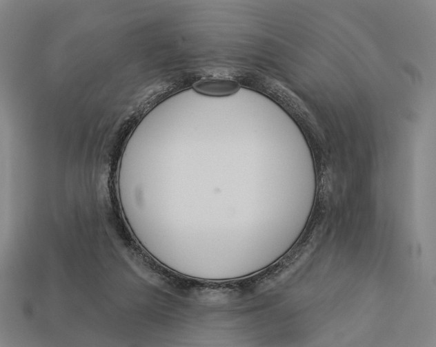 X0000113080209200909250956
