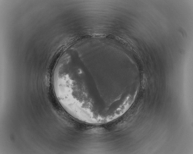 X0000113080210200909250956