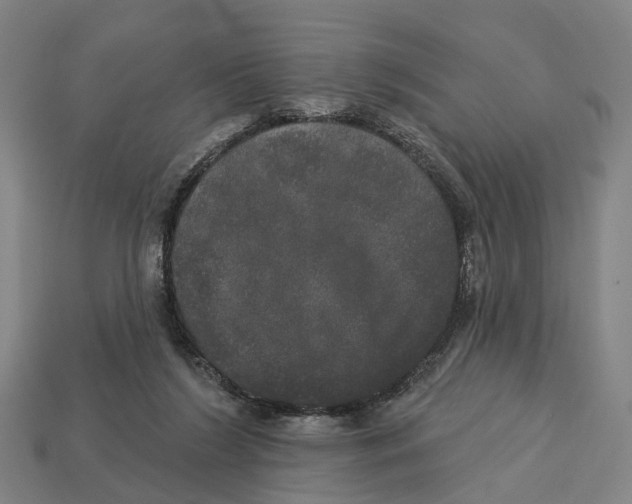 X0000113080212200909250956