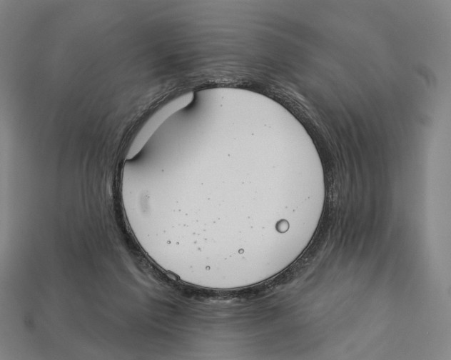 X0000113080213200909250956