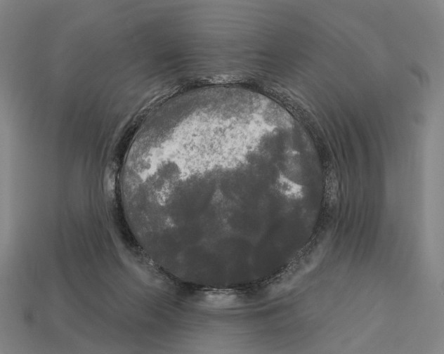 X0000113080214200909250956