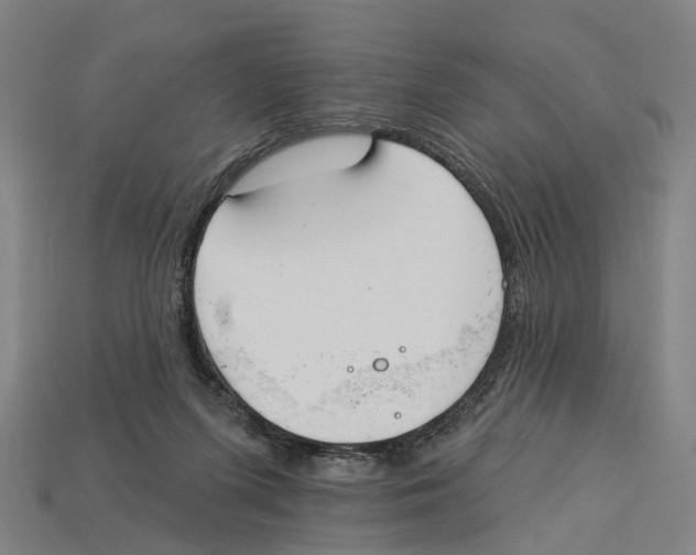 X0000113080215200909250956