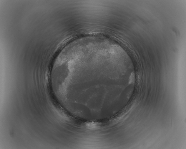 X0000113080216200909250956