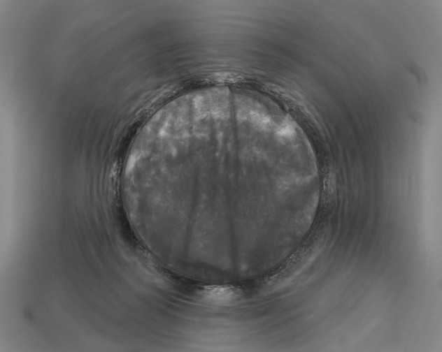 X0000113080218200909250956